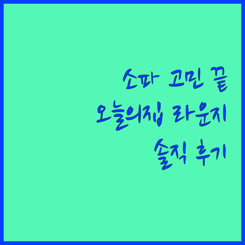 소파 고민 끝 오늘의집 LOUNGE 