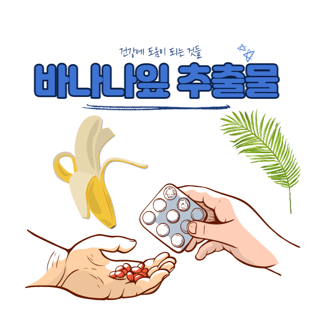 바나나잎 추출물