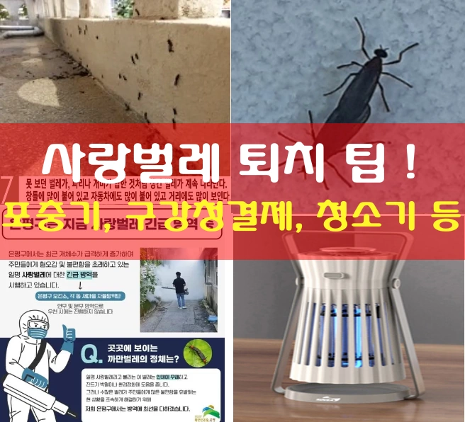사랑벌레 (러브 버그)