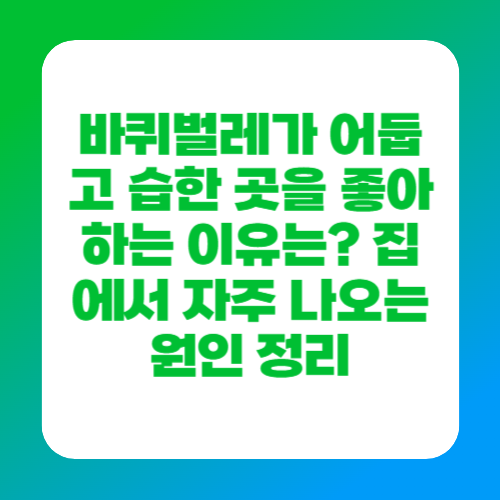 바퀴벌레가 어둡고 습한 곳을 좋아하는 이유는 집에서 자주 나오는 원인 정리