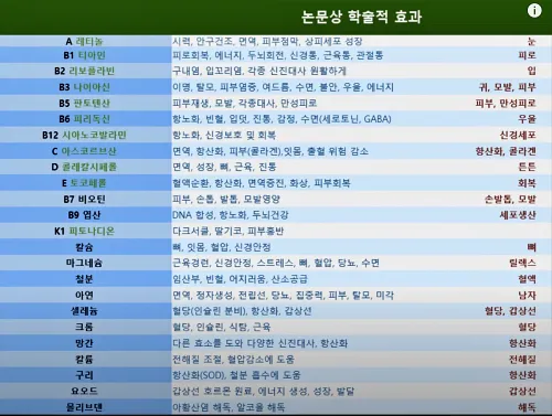 비타민의 종류별 효능