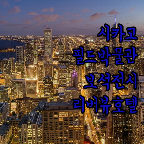 시카고 여행 코스 추천 필드 자연사 ..