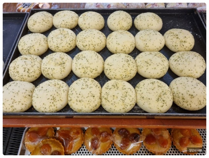 소비쿠폰 어디서 써? 과안동 맘모스제과에서 빵도 사고 소비도 챙기고! 관련 사진