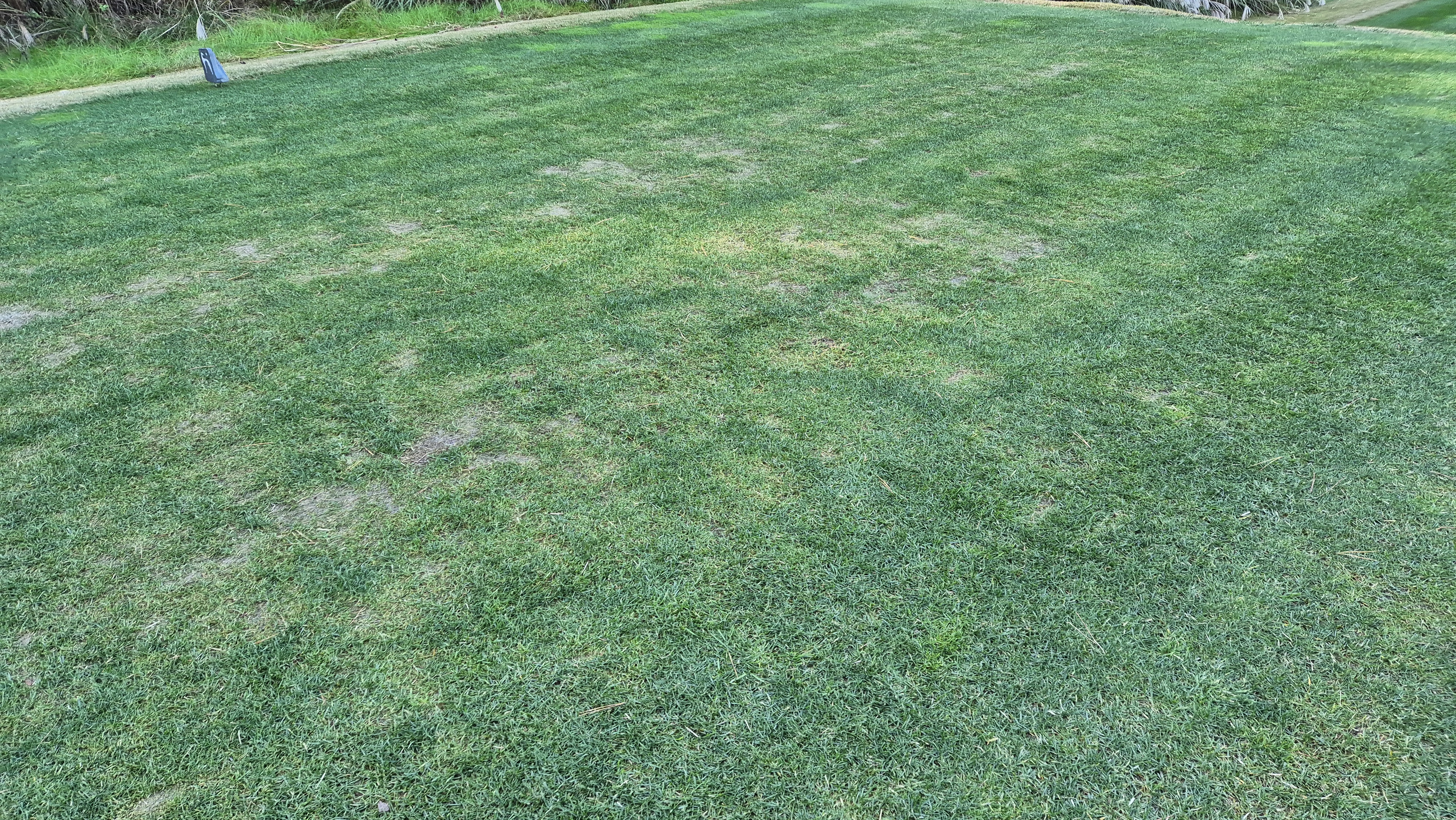 레이캐슬cc 티잉구역 상태