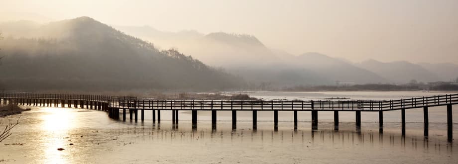 [경남 합천] 지역 가을 축제❘황매산 억새 축제❘기간, 일정, 실시간 개화 현황