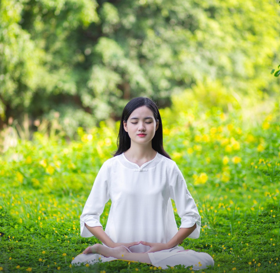 산림치유지도사 ｜하는 일부터 교육 과정, 시험 준비, 전망까지 총정리