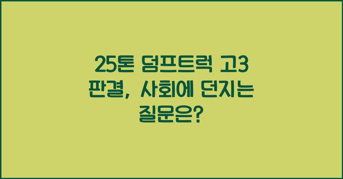 25톤 덤프트럭 고3 판결