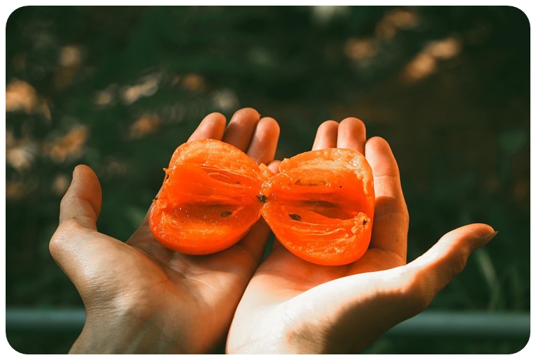 주의사항, 자주 묻는 질문