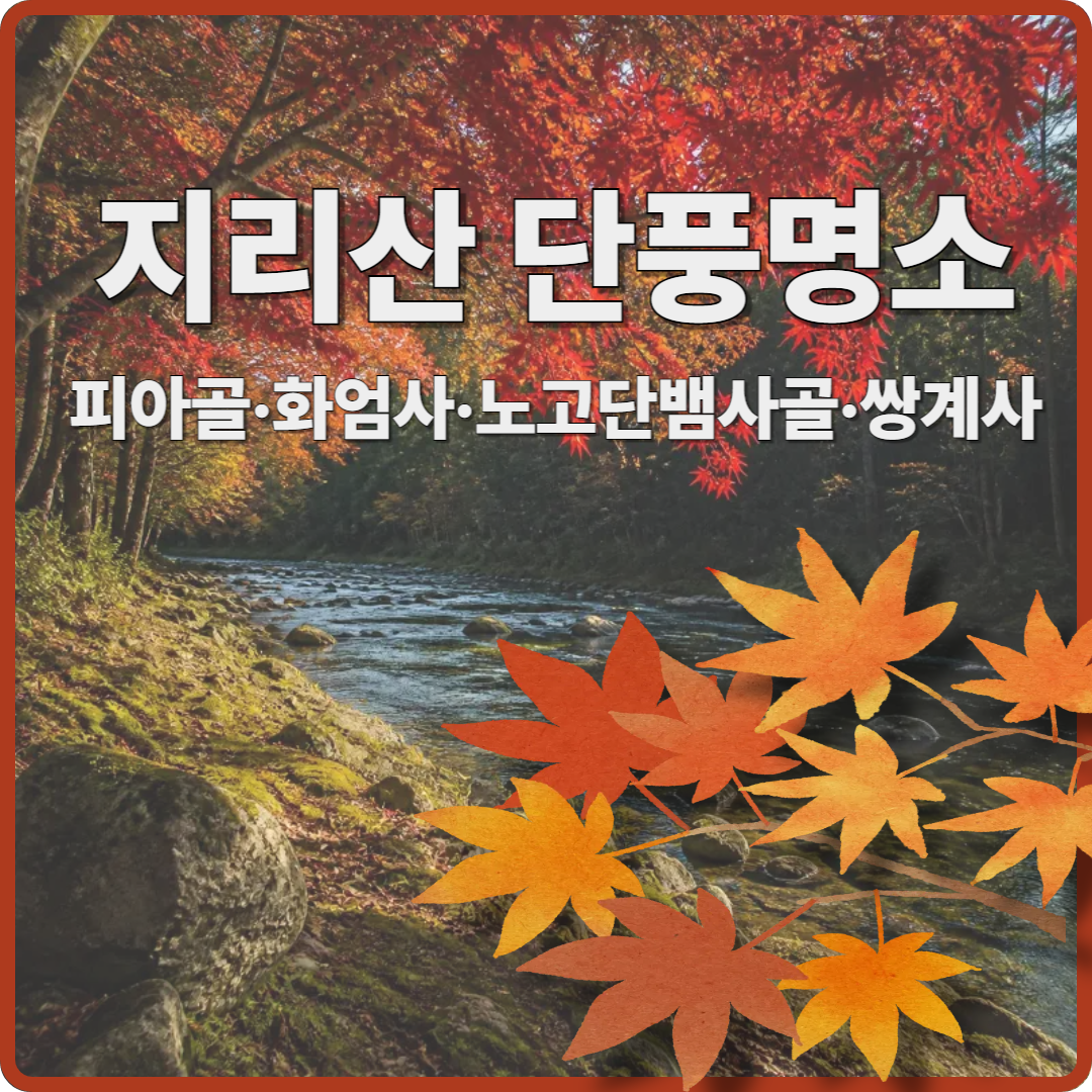 2026 지리산 단풍명소 이미지