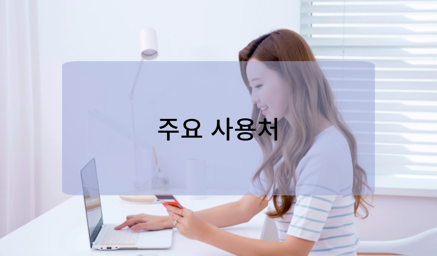 카카오페이 주요 사용처