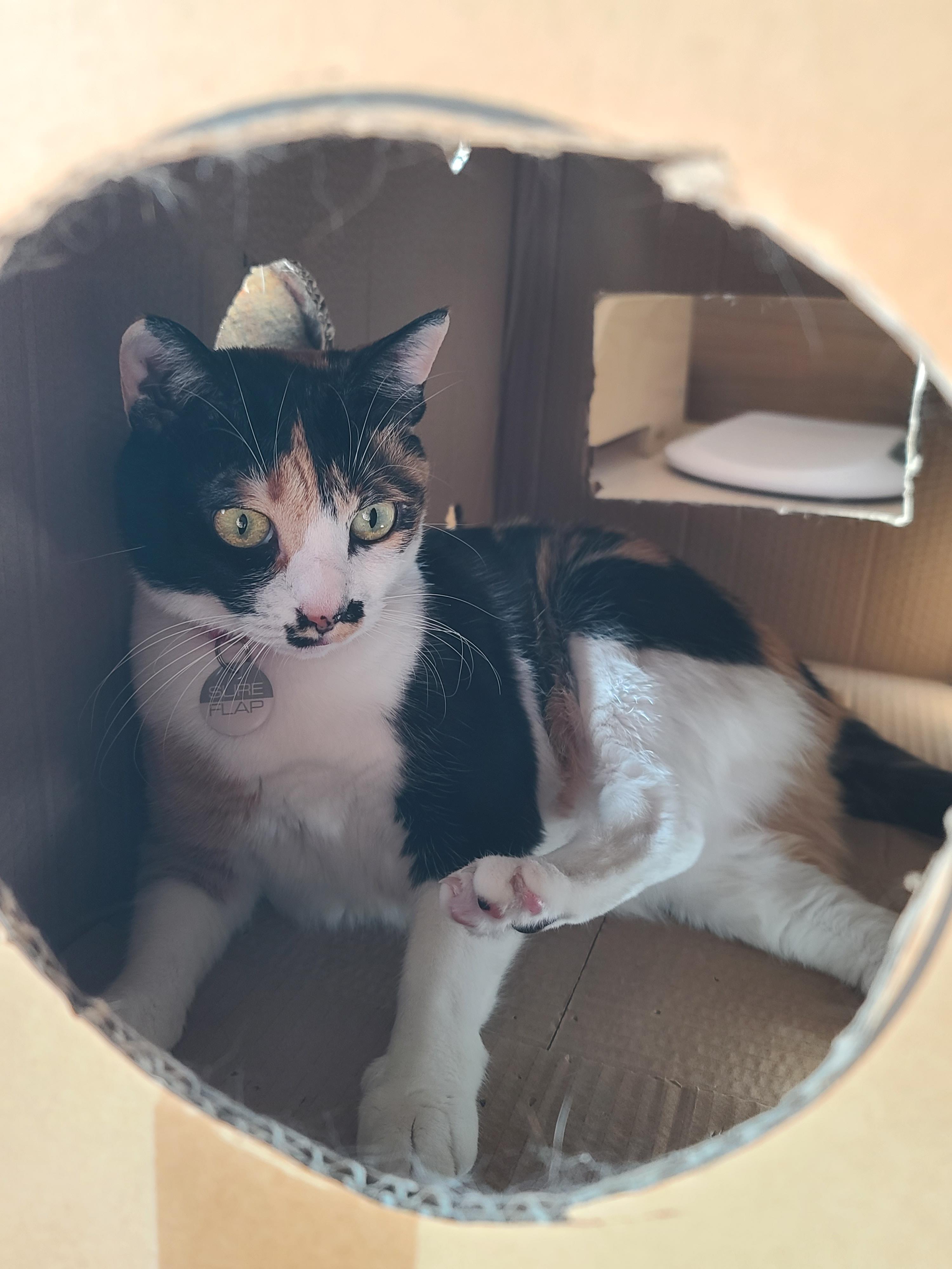 주제를 바꿔버린 건이와 상자놀이터 안의 다다 (feat.오메가3 안먹은 사랑이 ㅋㅋ)