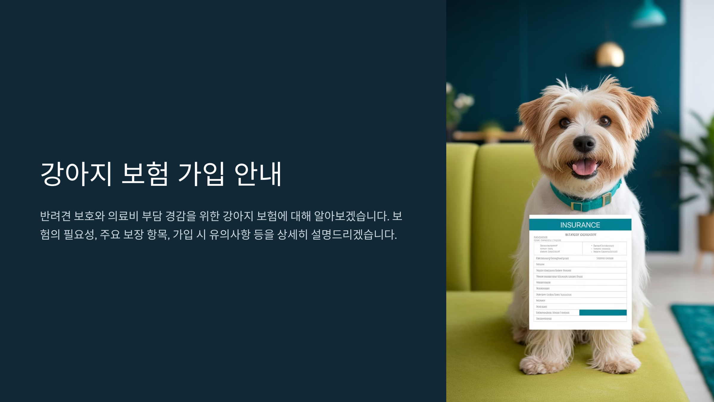 강아지 보험 가입 혜택 보장