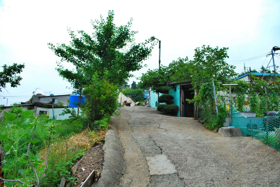 문현동 안동네 벽화마을