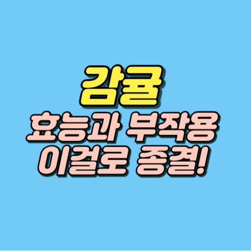 감귤 효능 부작용