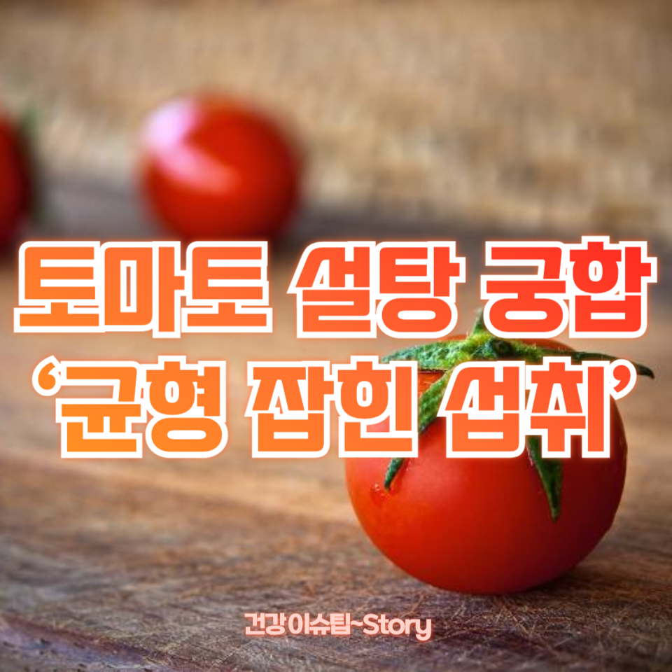 토마토 설탕 궁합