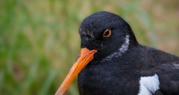 에너지 바우처 잔액조회 완벽 정리 12