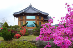 보성 다향대축제 보성 녹차축제