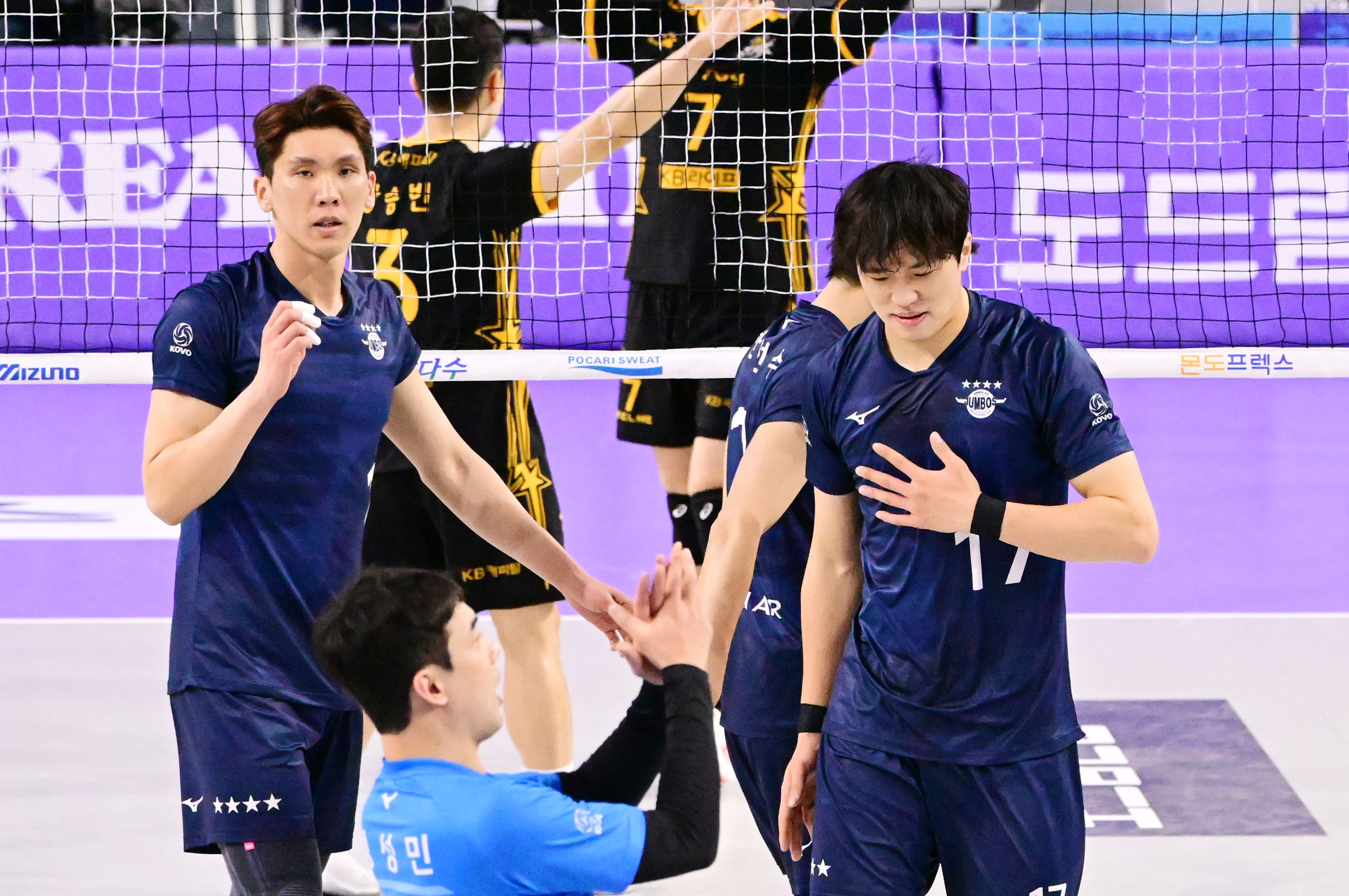 대한항공배구팀