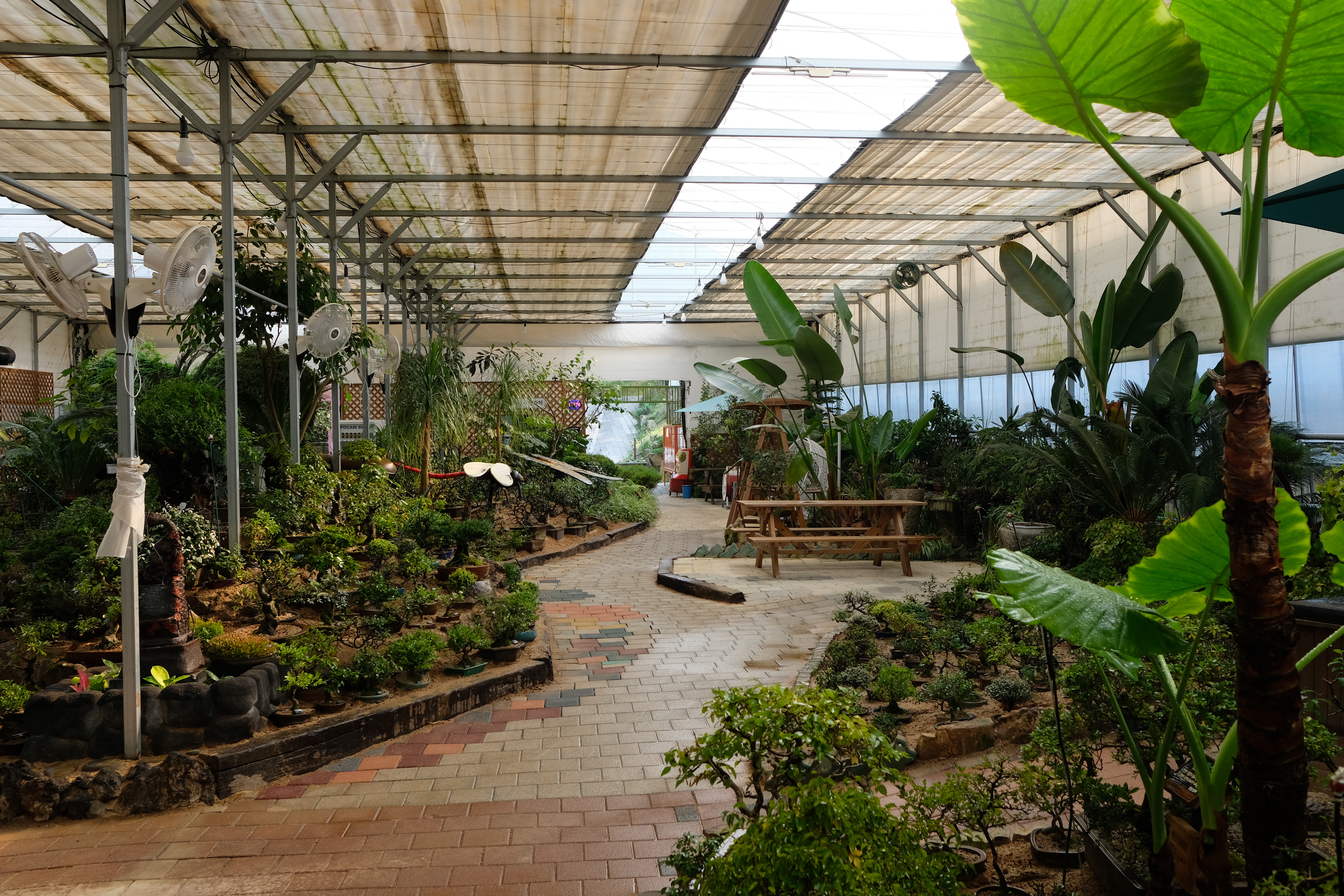 덕평공룡수목원 분재 식물원