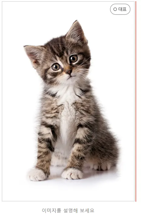 티스토리새에디터에서이미지가로로정렬하기_4