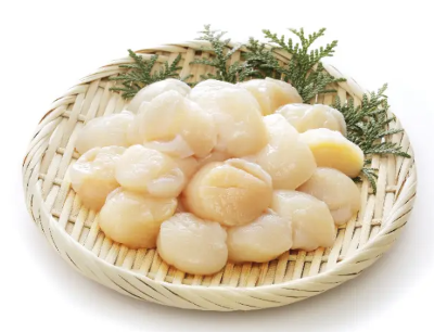 Scallop