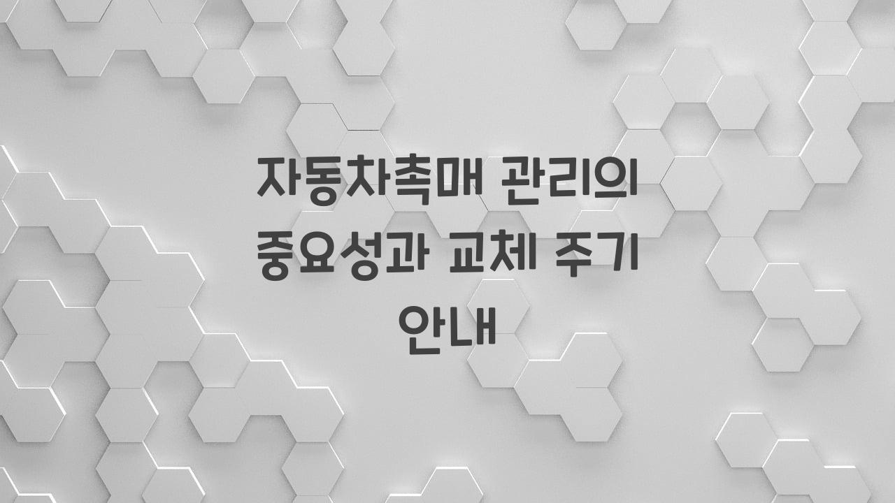 자동차촉매