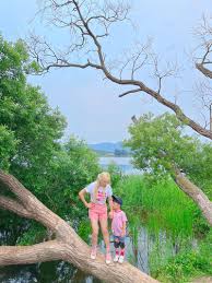 7.경기도 가볼만한곳 - 물의정원