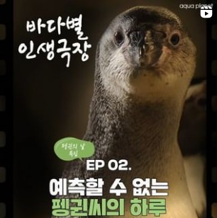 아이랑가기 좋은 곳 - 아쿠아플라넷 일산