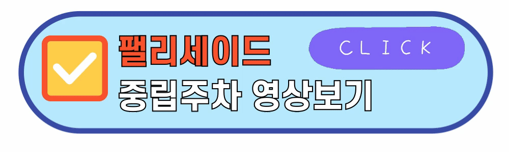 팰리세이드 중립주차