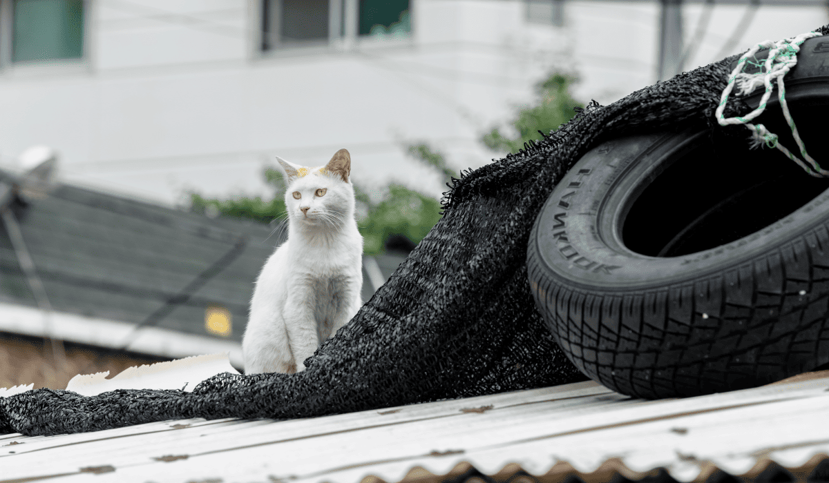 타이어_가격비교_사이트_18