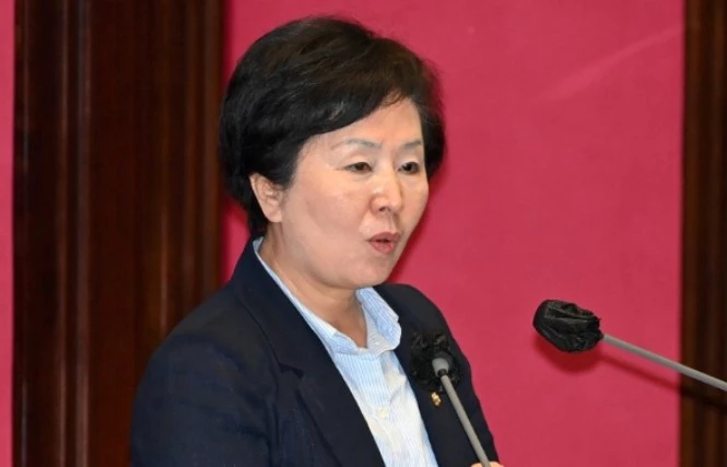 김영선 국회의원 공천 김해갑 지역구 출마 이유