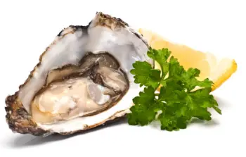 통영굴 직거래 가격&amp;#44; 효능 및 영양성분 부작용