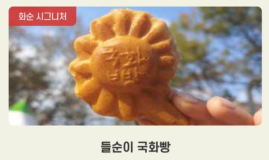 화순고인돌축제 가을꽃축제 2025년 일정 입장료