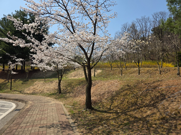 걷기 좋은 산책길