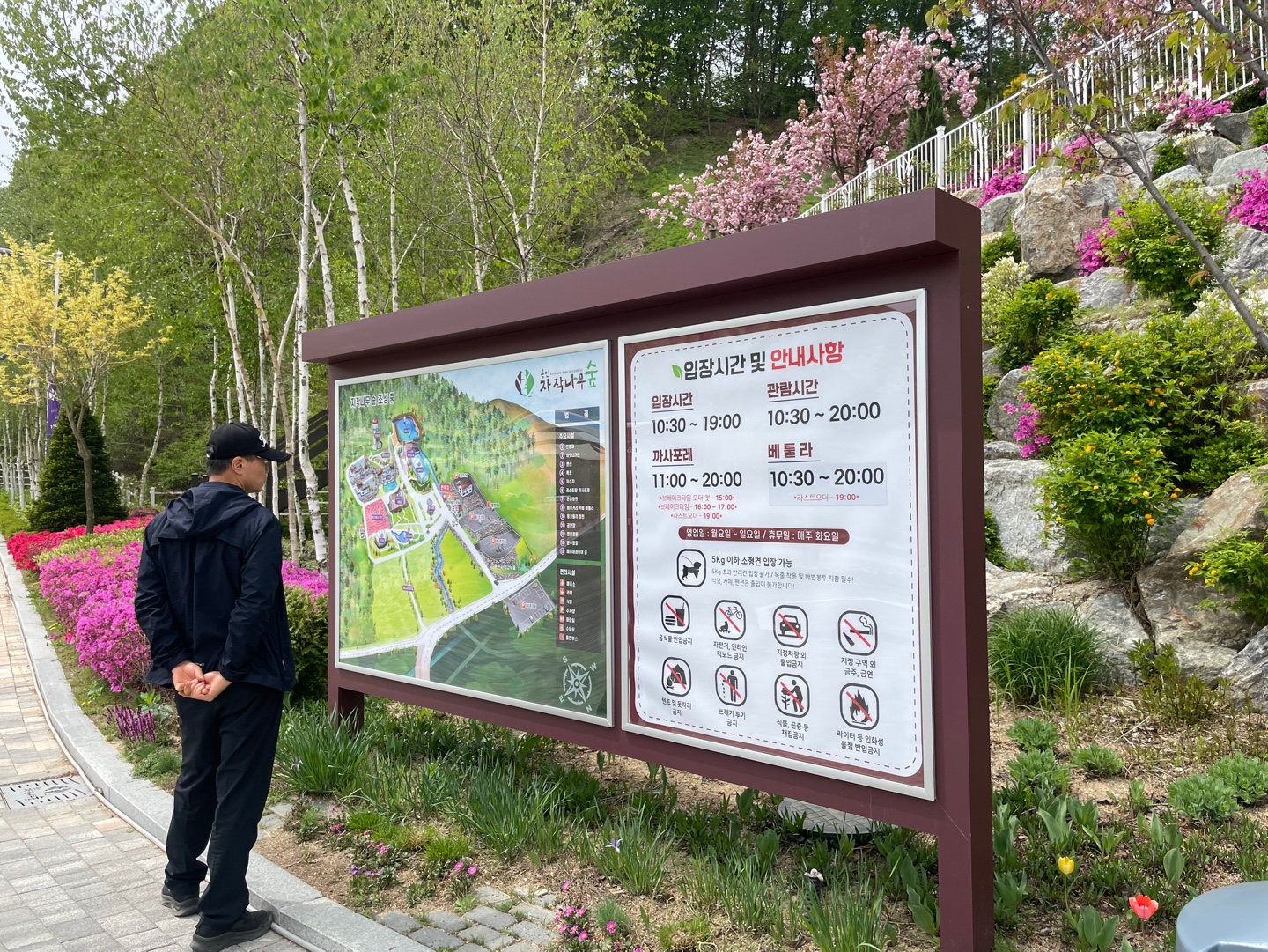 용인 자작나무숲 베툴라 대형 베이커피 카페