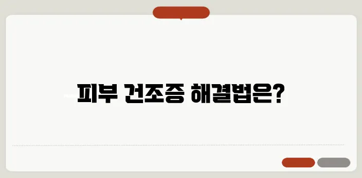 피부 건조증 증상과 보습 관리법