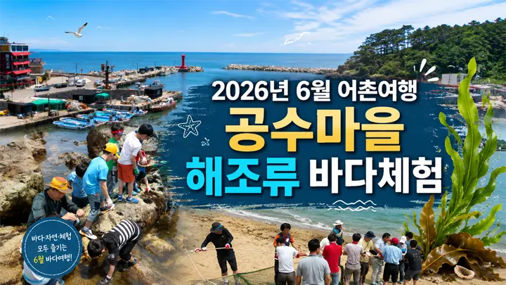 2026년 6월 어촌여행 공수마을 해조류 바다체험