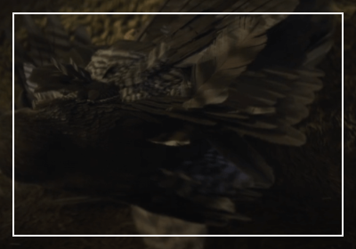 아라문의 검 9회 줄거리 리뷰 : 수하나 첩 까마귀 죽음 증거에 흑화하는 수하나