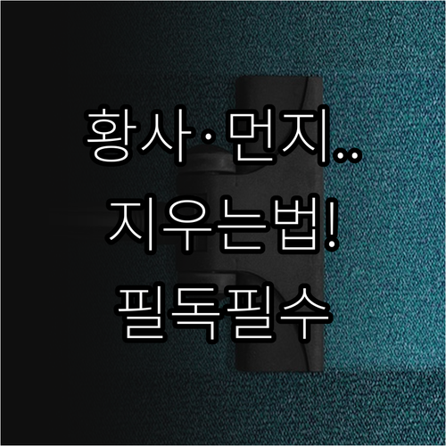 외출 후 황사 미세먼지 제거를 위한 ..