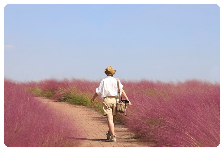 여성 호르몬의 종류와 역할