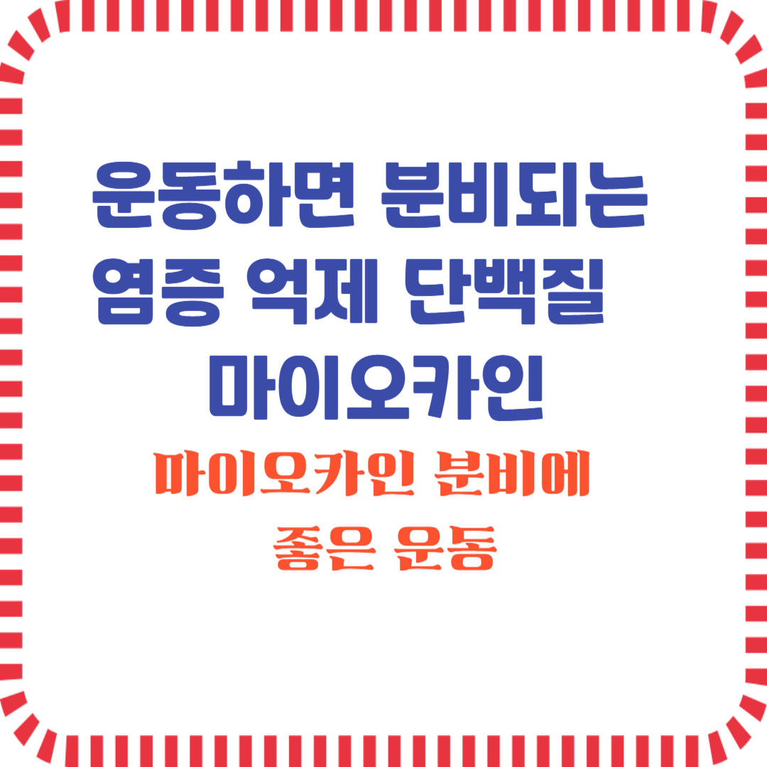 염증 억제 단백질 마이오카인