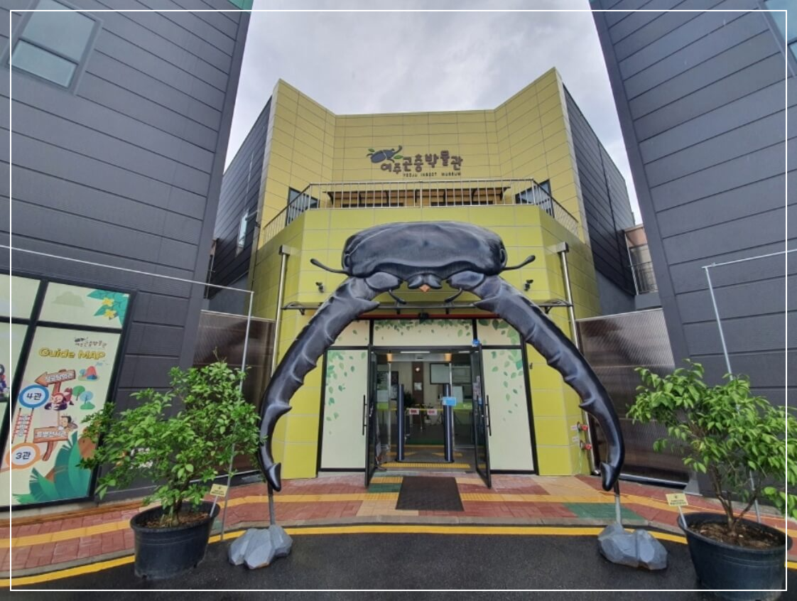 여주 가볼만한곳 베스트10 여주곤충박물관