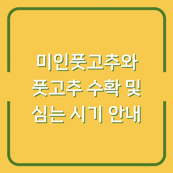 미인풋고추와 풋고추 수확 및 심는 시기 안내