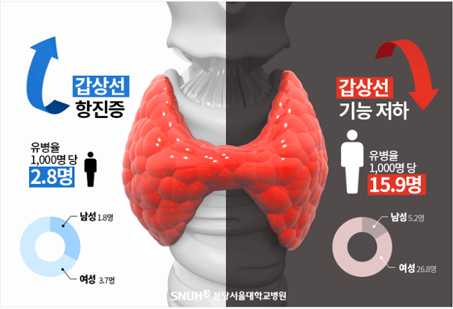 갑상서 항진증과 저하증
