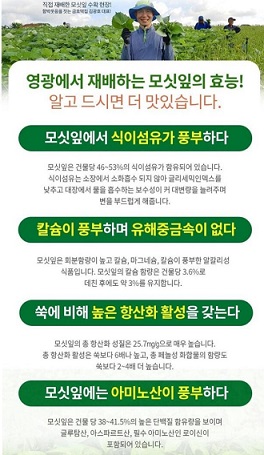 모싯잎효능
