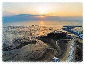 천수만철새도래지