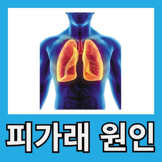피가래의 원인은 무엇일까
