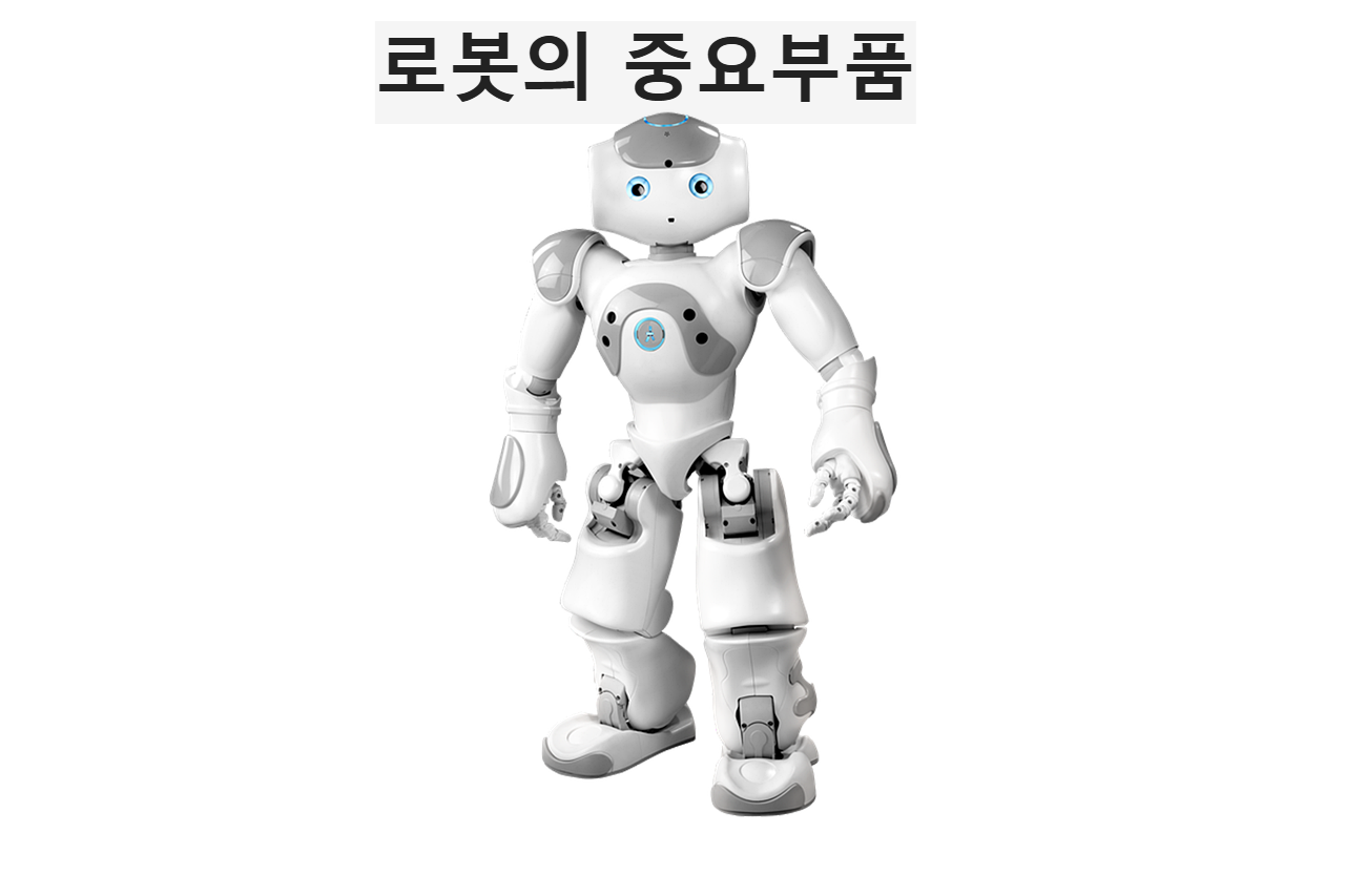 휴먼로봇