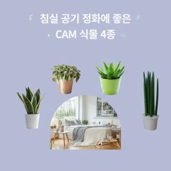 침실 공기질 환기 가습 식물 침구먼지 줄이는 생활습관_29