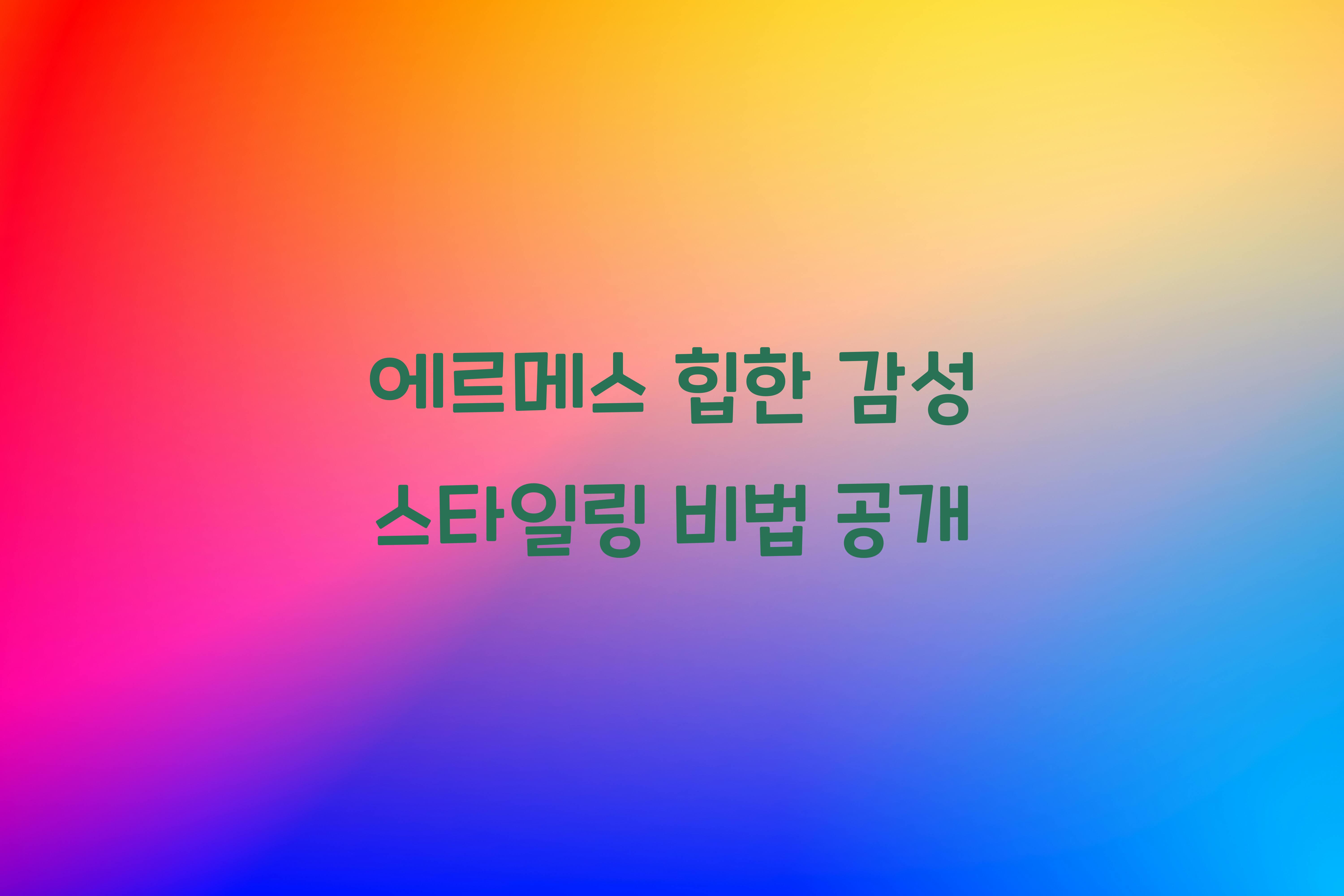 에르메스 힙한 감성 스타일링
